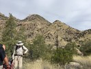 photo thumbnail #3