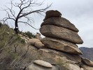 photo thumbnail #5