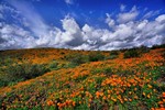 Featured Full Photo