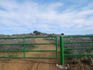photo thumbnail #7