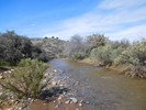 photo thumbnail #9