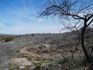 photo thumbnail #12