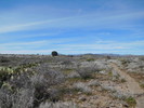 photo thumbnail #13