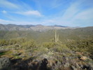 photo thumbnail #5