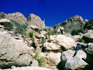 photo thumbnail #13