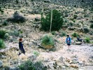 photo thumbnail #2
