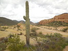 photo thumbnail #7