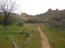 photo thumbnail #11