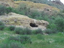 photo thumbnail #12