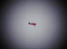 photo thumbnail #15