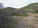 photo thumbnail #3