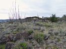 photo thumbnail #10