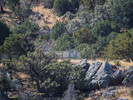 photo thumbnail #12
