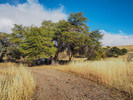photo thumbnail #1