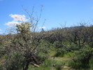 photo thumbnail #1