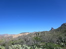 photo thumbnail #4