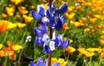photo thumbnail #9
