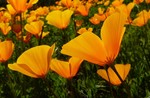 photo thumbnail #14