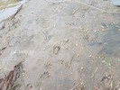 2017-03-05 :3: BCC to Agua Fria N :: rcorfman