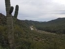 photo thumbnail #7