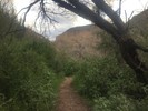photo thumbnail #2