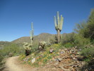 photo thumbnail #1