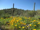 photo thumbnail #5