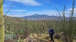 photo thumbnail #2