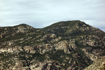 recent photo