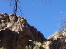 photo thumbnail #8