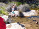 photo thumbnail #4