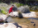 photo thumbnail #5