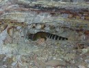 photo thumbnail #12