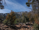 photo thumbnail #6