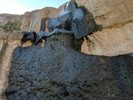 photo thumbnail #2