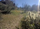 photo thumbnail #9