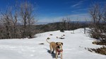 photo thumbnail #14