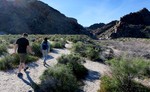 photo thumbnail #2