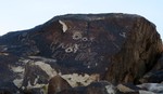 photo thumbnail #11