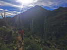 photo thumbnail #2