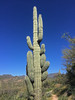 photo thumbnail #10