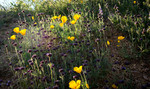 photo thumbnail #14
