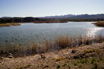 photo thumbnail #15