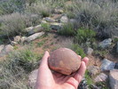 photo thumbnail #3