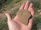 photo thumbnail #12