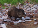 photo thumbnail #6