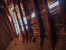 photo thumbnail #11
