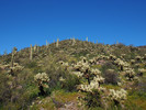 photo thumbnail #8