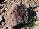photo thumbnail #13