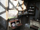 photo thumbnail #2